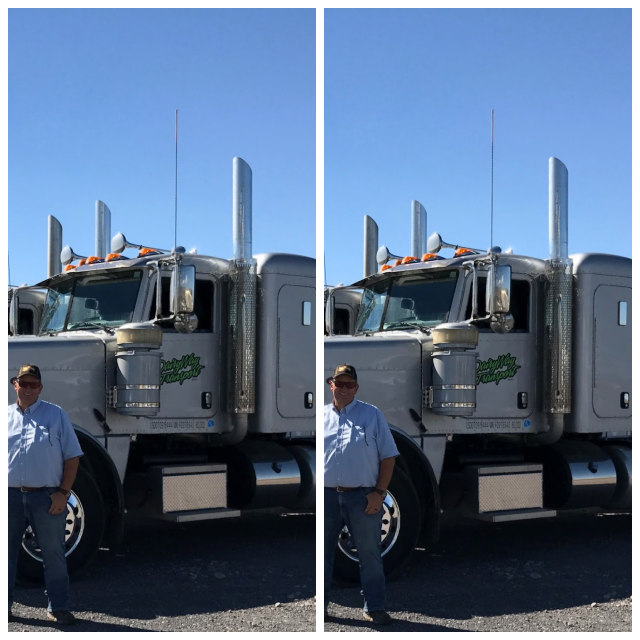 Review DairyWay Transport image 205917
