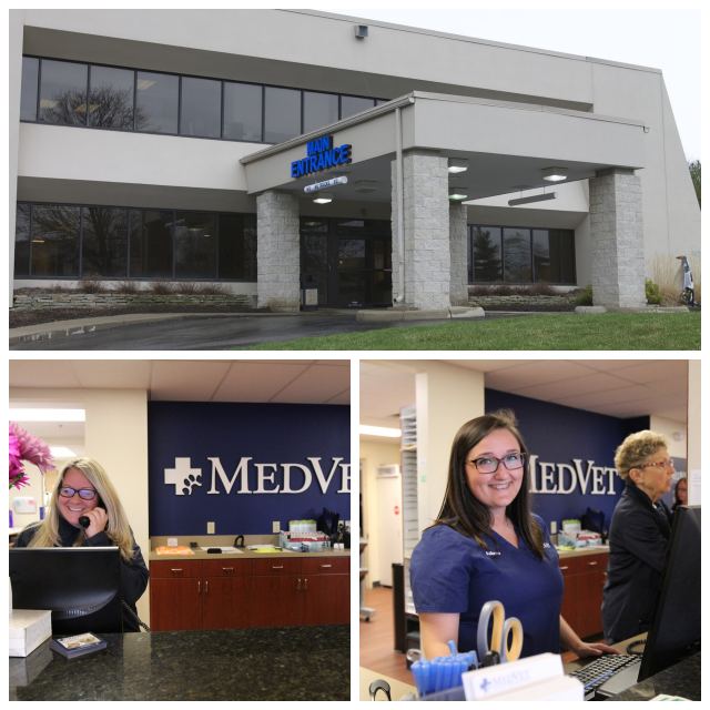 Review Medvet image 106793