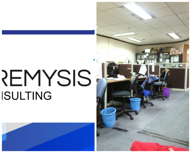 Review Premysis consulting image 339682
