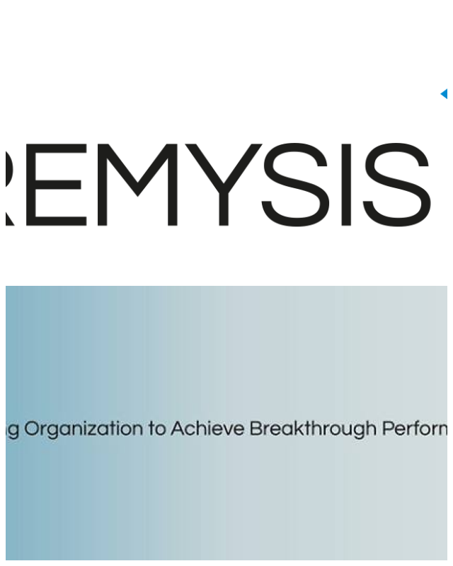Review Premysis consulting image 339683