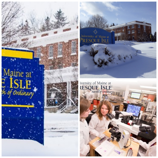 Review University of maine at presque isle image 248950