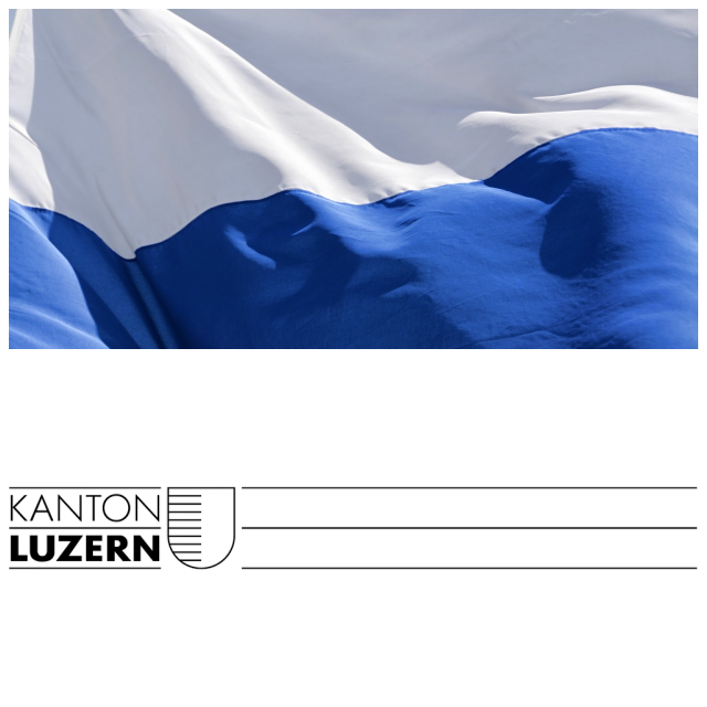 Review DIIN - Dienststelle Informatik Luzern image 152858