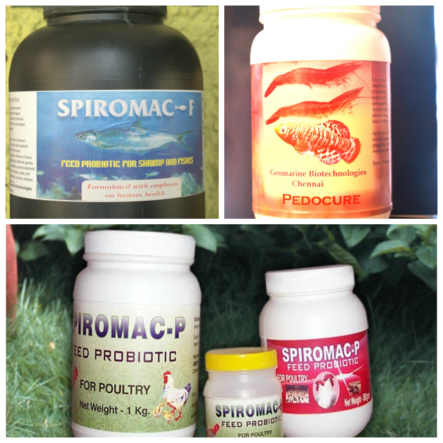 Review Geomarine Biotechnologies (P) Ltd image 173331