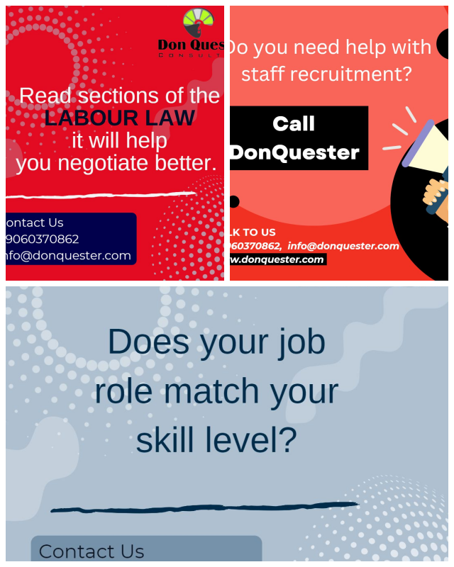 Review Don Quester Consulting image 86574