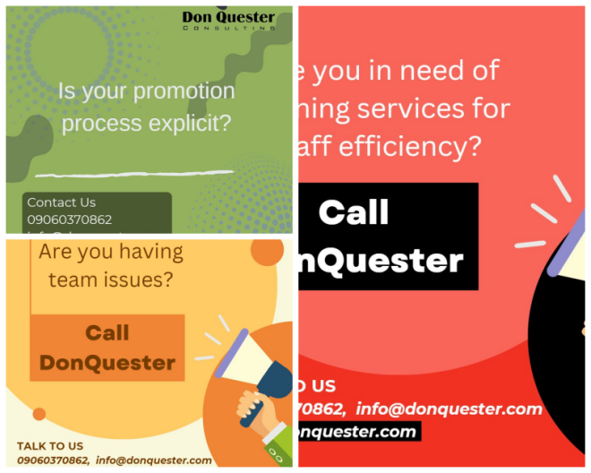 Review Don Quester Consulting image 86575