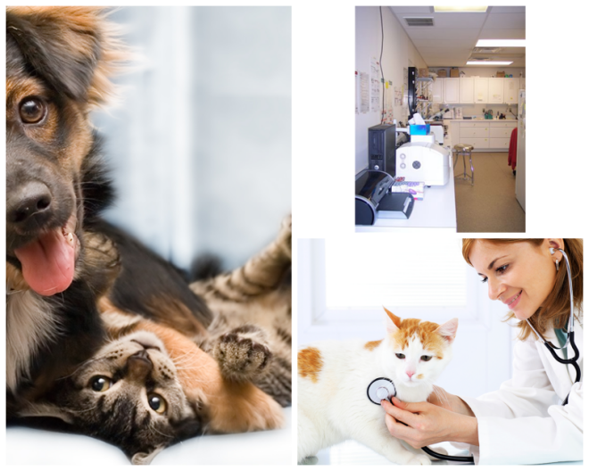Review Kroner animal care ctr image 309507