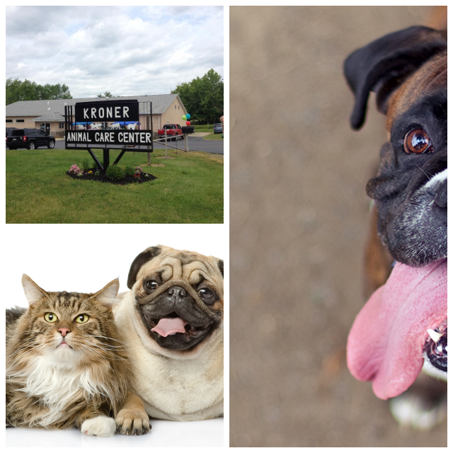 Review Kroner animal care ctr image 309508