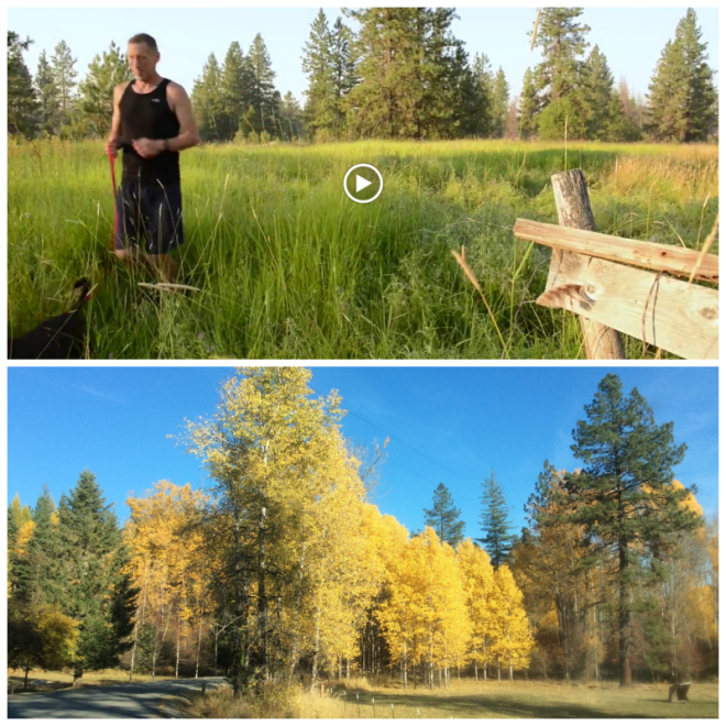 Review Inland northwest land conservancy image 301707