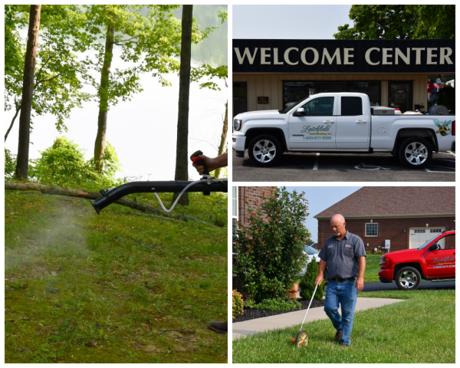 Review Leitchfield exterminating image 312224