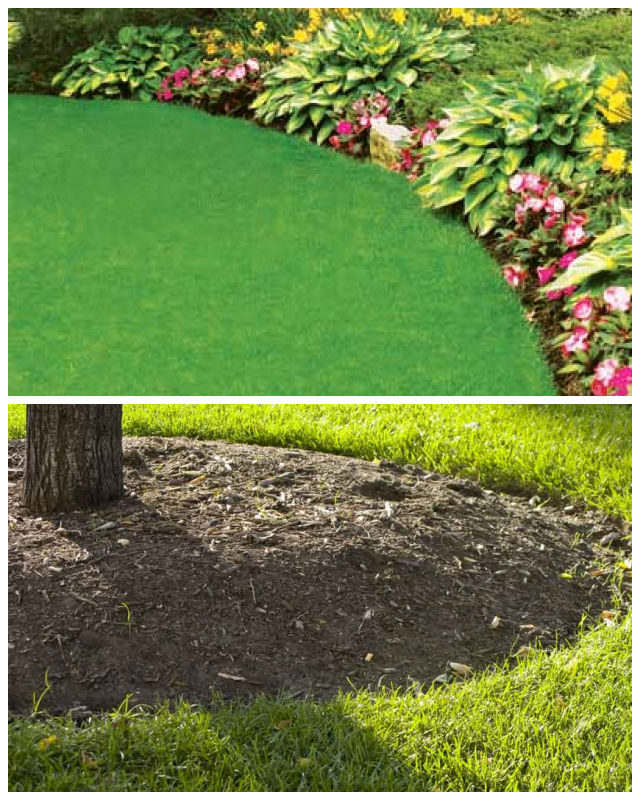 Review Lucas tree expert co, inc image 252092