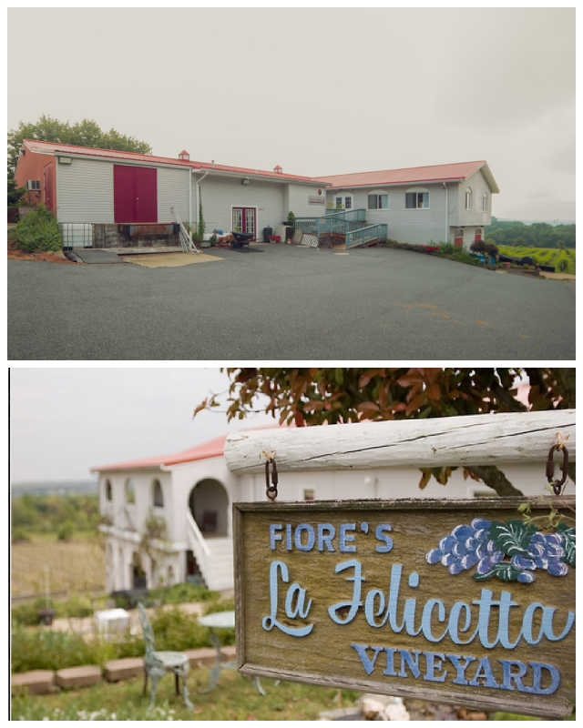 Review Fiore Winery image 211403