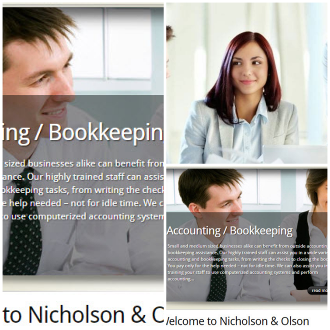 Review Nicholson & Olson, CPAs image 1447