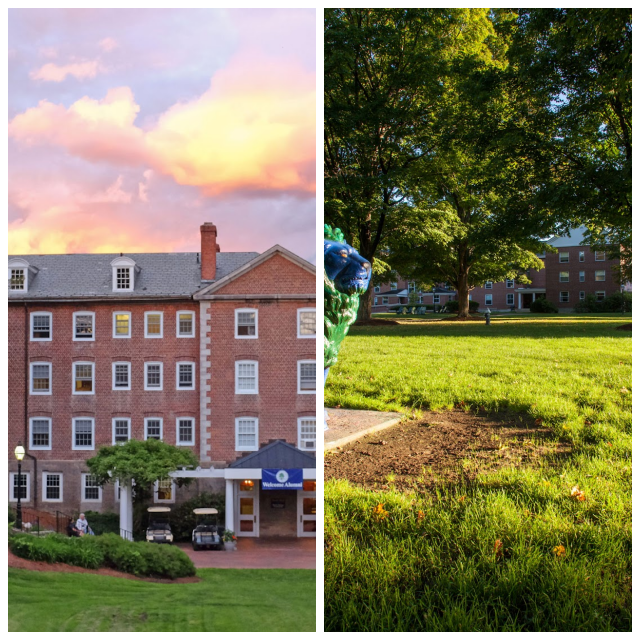 Review The williston northampton school image 249801