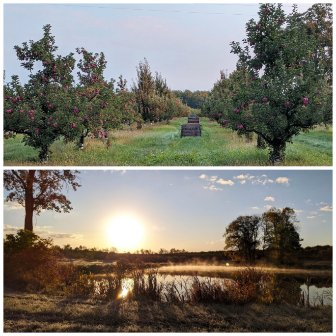 Review Sauer Orchards image 35175