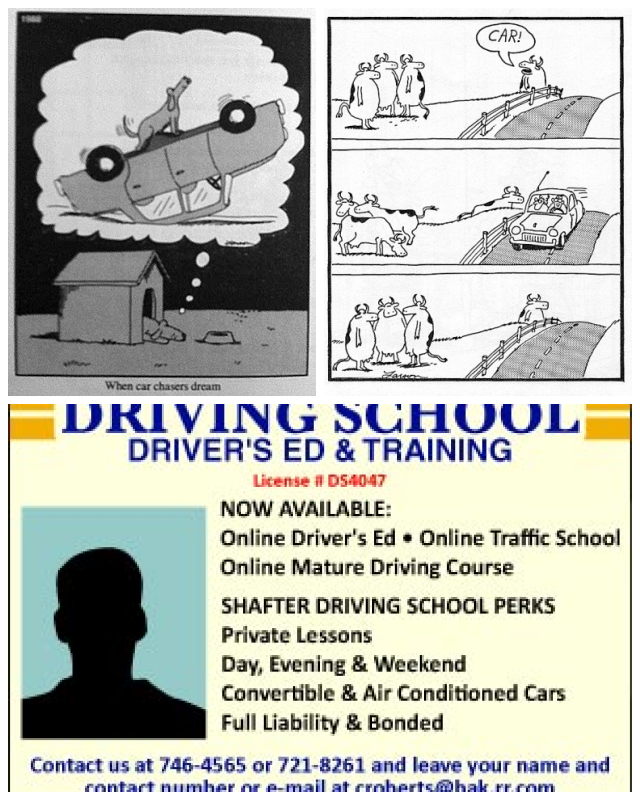 Review Shafter driving school image 353217