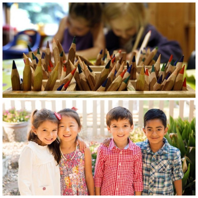 Review Little rock montessori school image 315246