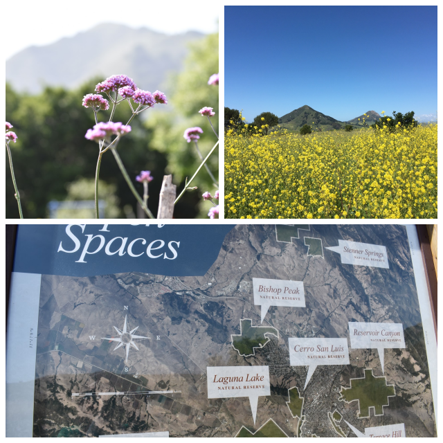 Review City of San Luis Obispo Parks and Recreation image 96543