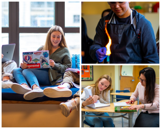 Review The williams school image 257284