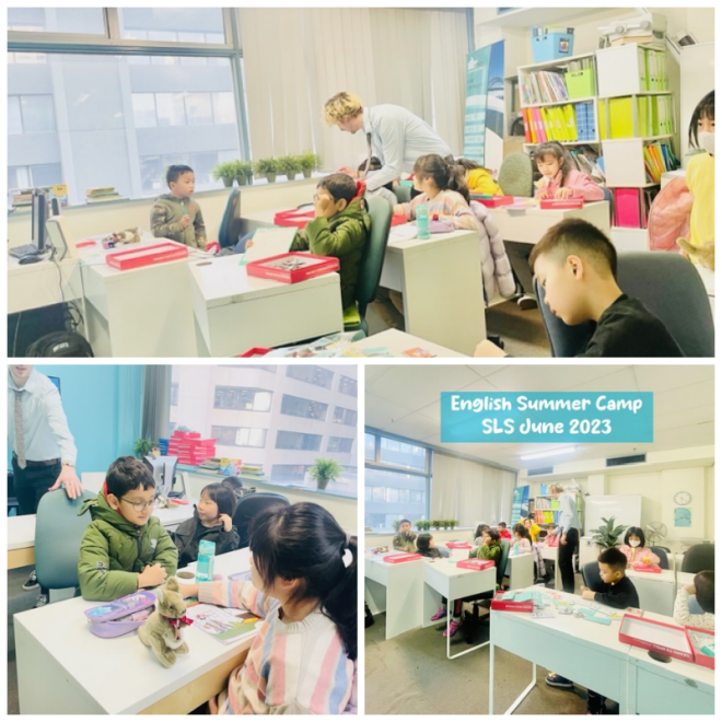 Review Sydney Language Solutions image 176434