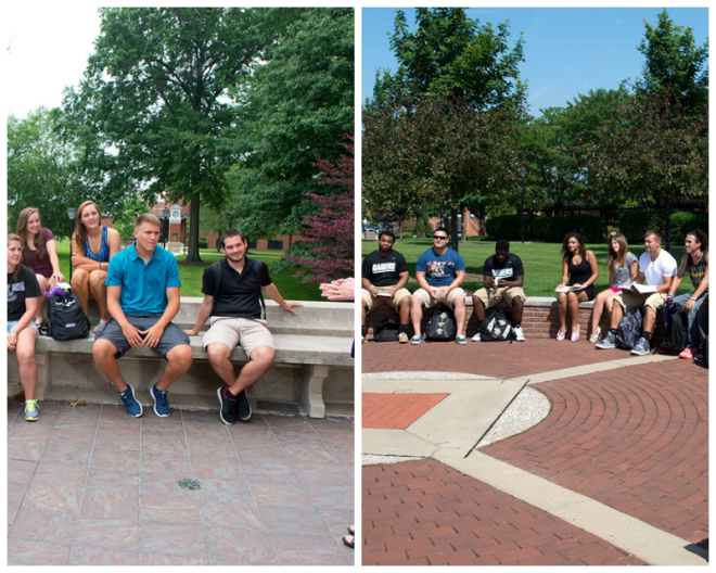 Review University of mount union image 241215