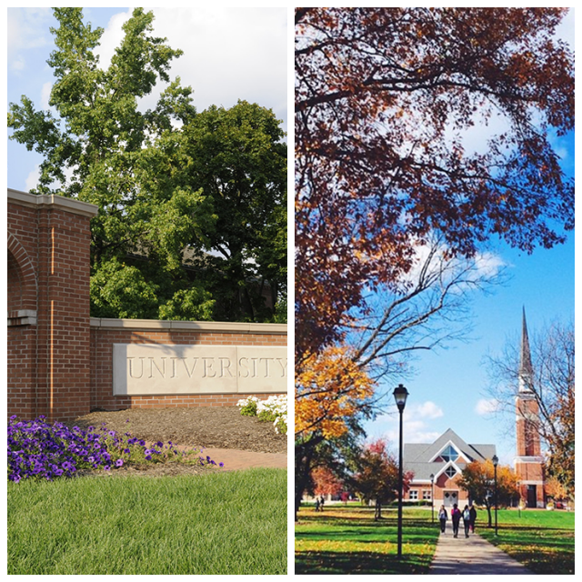 Review University of mount union image 241217