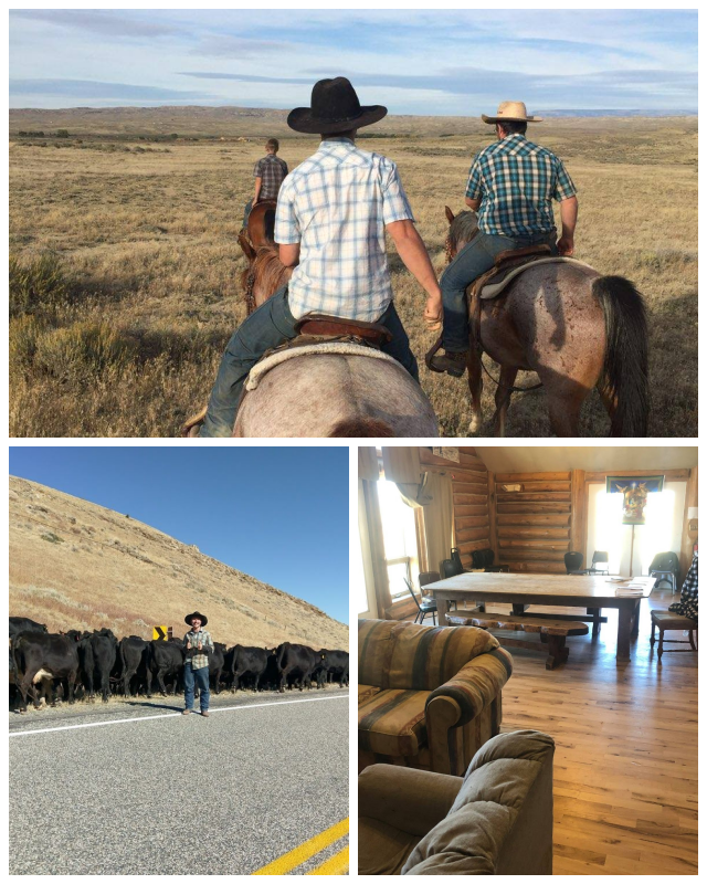 Review Triangle Cross Ranch image 36999