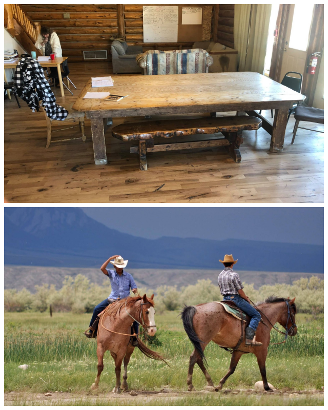 Review Triangle Cross Ranch image 37000