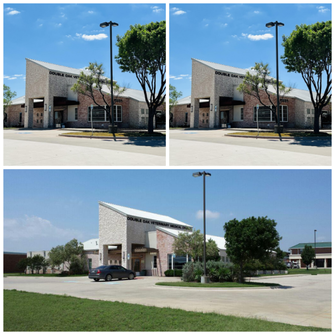 Review Double oak veterinary medical center image 275867