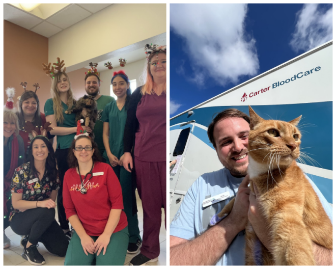 Review Double oak veterinary medical center image 275870