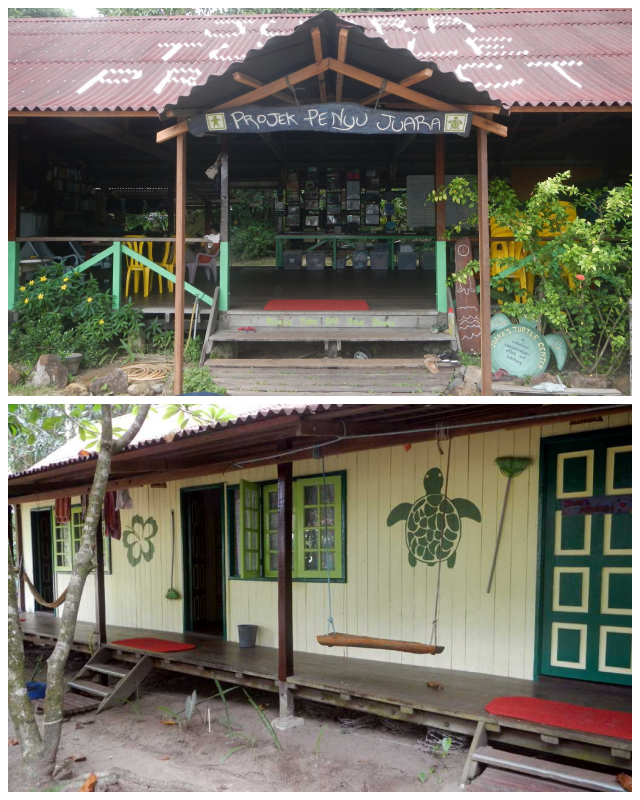 Review Jurara Turtle Project image 229126