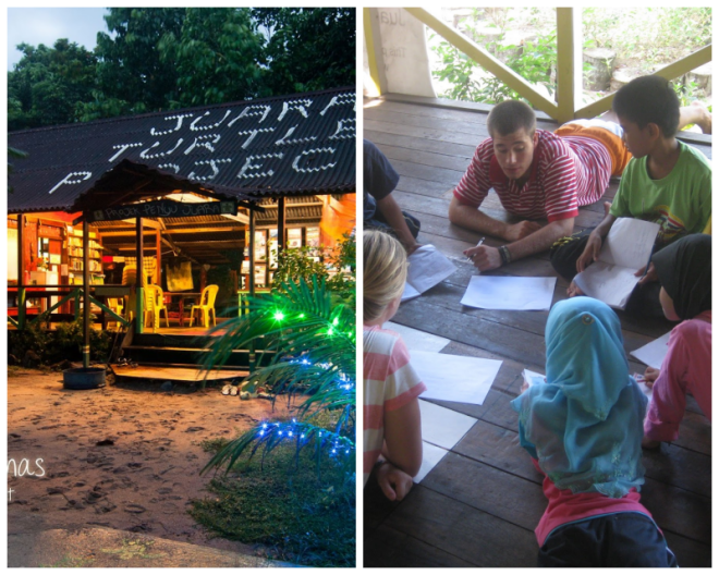 Review Jurara Turtle Project image 229128