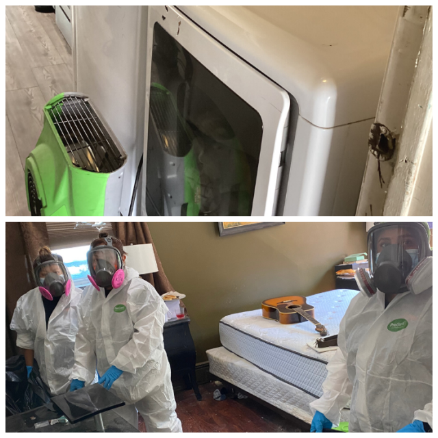 Review Servpro of greater hunterdon image 352606
