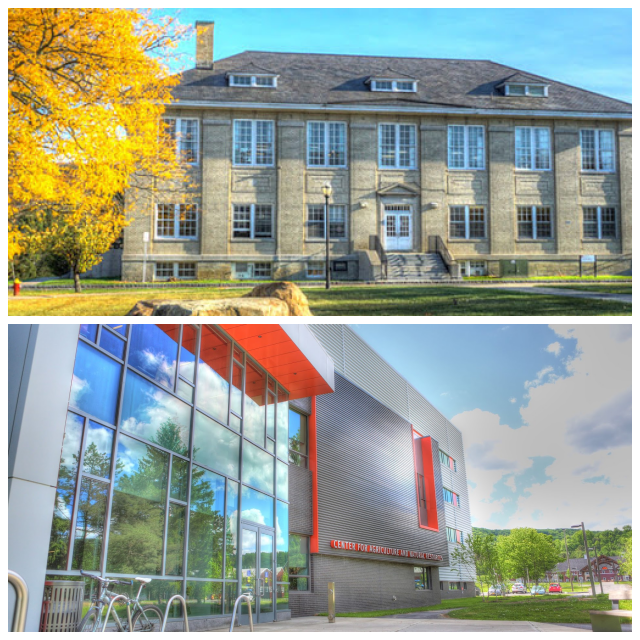 Review SUNY Cobleskill image 54763