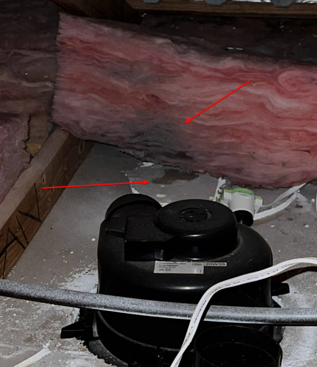 Review Australian building company image 356705