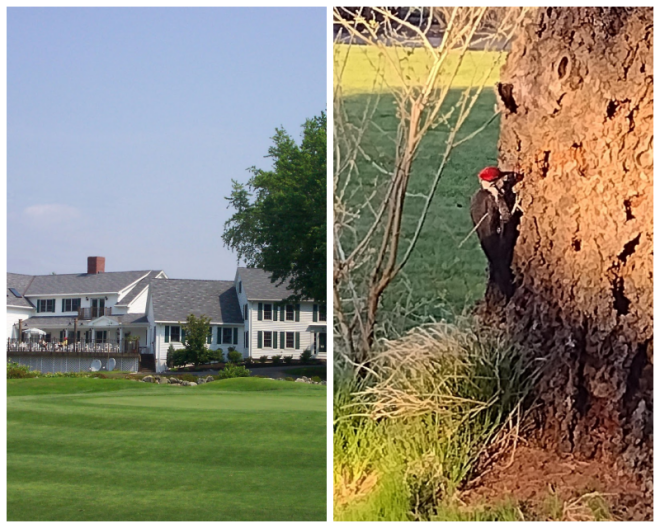 Review Juniper hill golf course image 306358