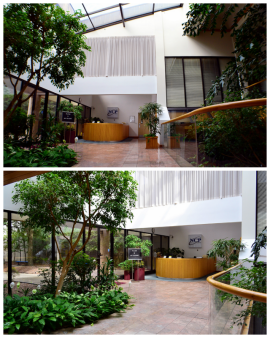 Ncp solutions image 246725