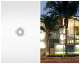 Hass group image 295105