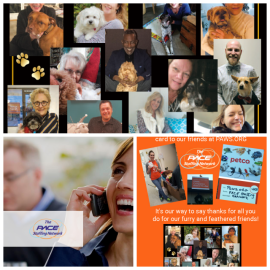 Pace Staffing Network image 163251