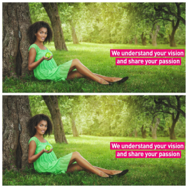 Bell Intergrator image 186888