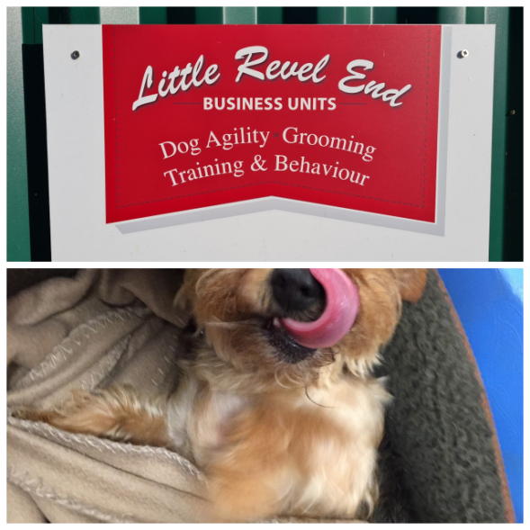 Little Revel End, Kennels and Cattery image 177048