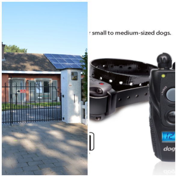 J.C. Sales image 207586