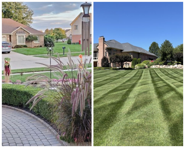 Dynamic Lawn & Landscape image 197687