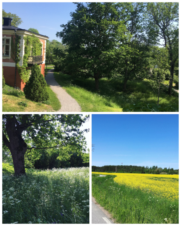 wik castle image 217029