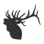 Alpine Computing