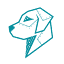 CipherTechs, Inc.