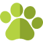 Dog Collars, Harnesses, Leashes, Beds, Recovery Cones and Grooming Brushes for Everyday Pet Care