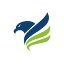 Eagle web solutions