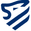 Lionic corporation