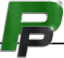 Paragon Performance LLC