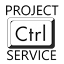 Project control service